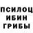 Галлюциногенные грибы MAGIC MUSHROOMS UFS Sports