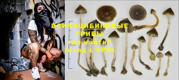 прущая мука Аркадак