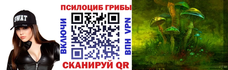 ссылка на мегу ссылки  Тихорецк  Галлюциногенные грибы Psilocybine cubensis 